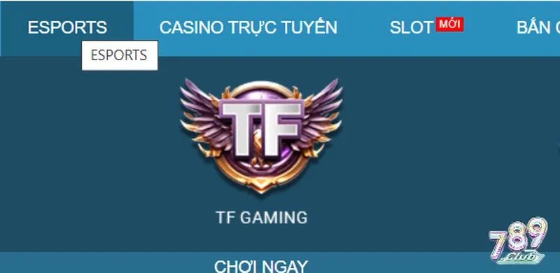 Tổng quan sảnh game điện tử TF gaming cao cấp