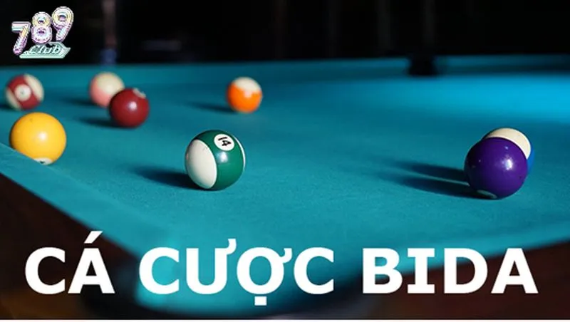 Tổng quan game cá cược Bida 789club